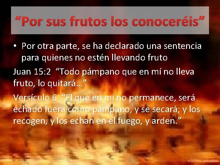 “Por sus frutos los conoceréis” • Por otra parte, se ha declarado una sentencia