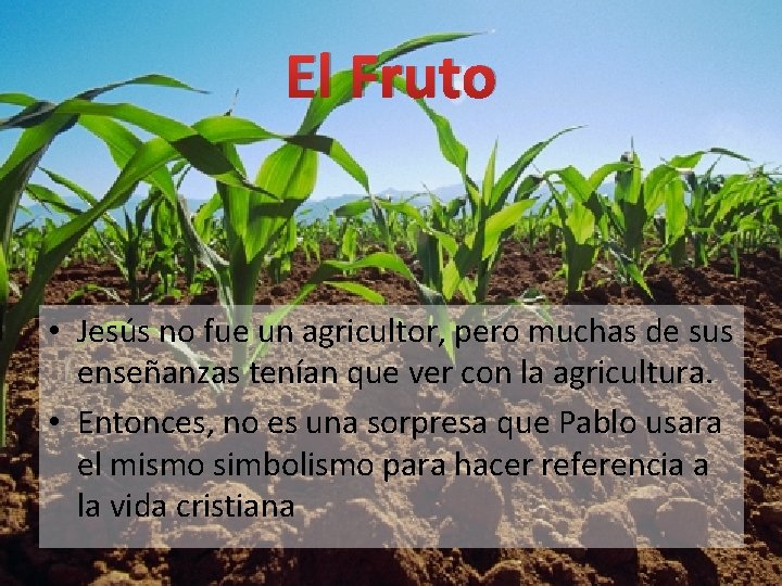 El Fruto • Jesús no fue un agricultor, pero muchas de sus enseñanzas tenían