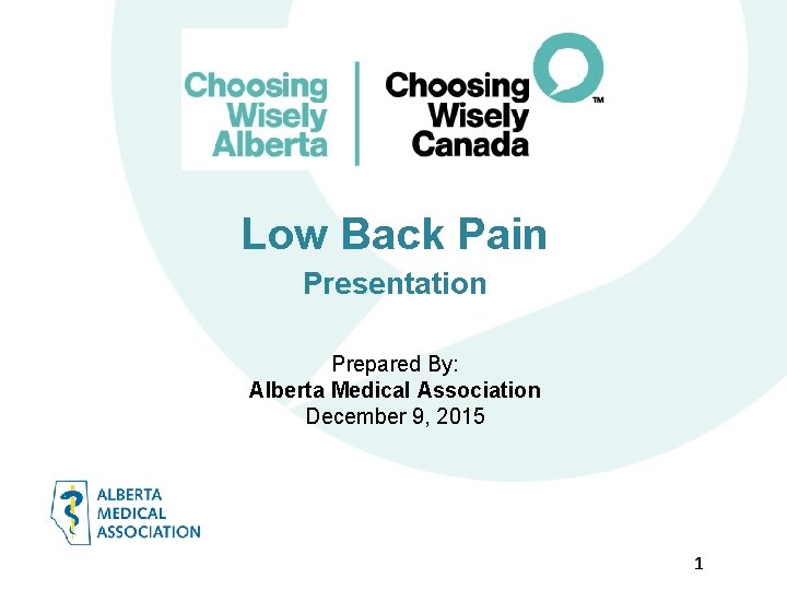 Low Back Pain Presentation Prepared By: Alberta Medical Association December 9, 2015 1 