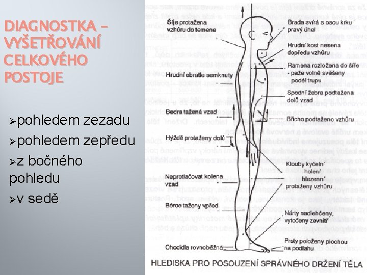 DIAGNOSTKA – VYŠETŘOVÁNÍ CELKOVÉHO POSTOJE Øpohledem zezadu Øpohledem zepředu Øz bočného pohledu Øv sedě