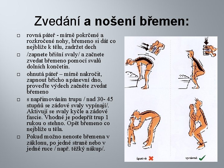 Zvedání a nošení břemen: rovná páteř - mírně pokrčené a rozkročené nohy, břemeno si