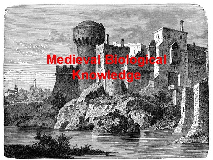 Medieval Biological Knowledge 