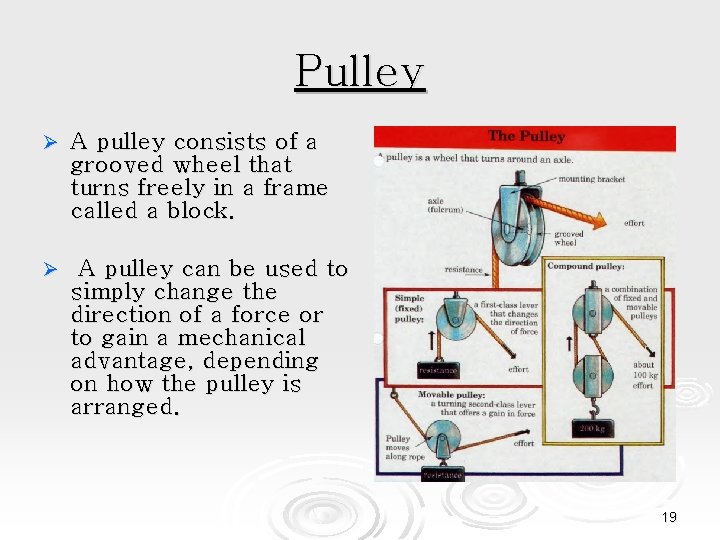 Pulley Ø A pulley consists of a grooved wheel that turns freely in a