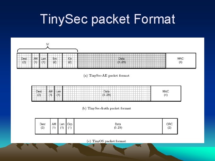 Tiny. Sec packet Format 