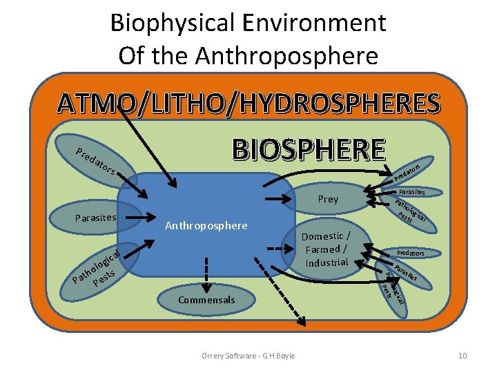 Biophysical Environment Of the Anthroposphere ATMO/LITHO/HYDROSPHERES Pre d ato rs BIOSPHERE Prey Parasites rs