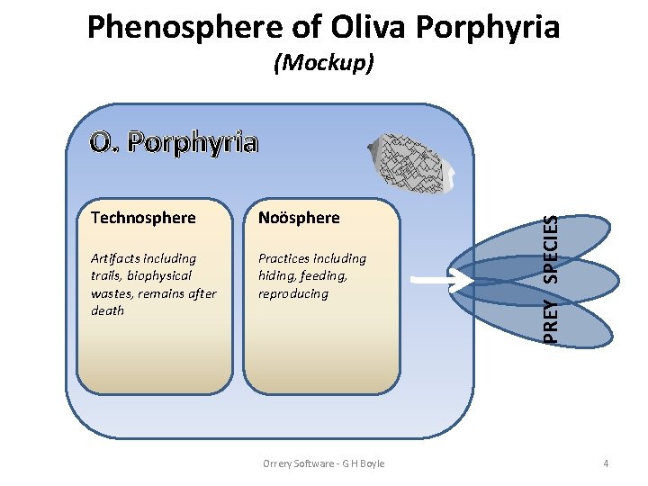 Phenosphere of Oliva Porphyria (Mockup) Technosphere Noösphere Artifacts including trails, biophysical wastes, remains after