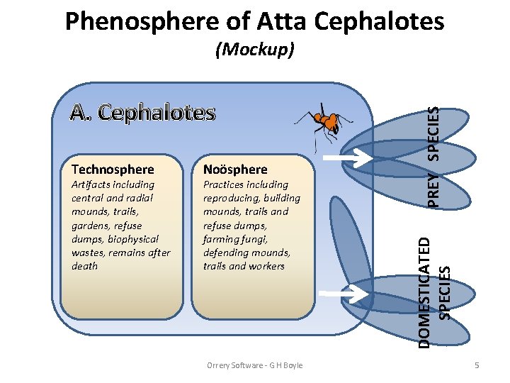Phenosphere of Atta Cephalotes Technosphere Artifacts including central and radial mounds, trails, gardens, refuse