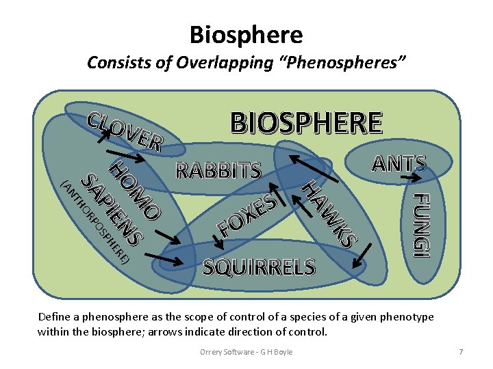 Biosphere Consists of Overlapping “Phenospheres” CLO VER BIOSPHERE FUNGI W FO SQUIRRELS KS S