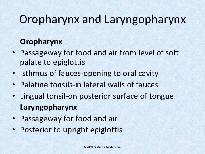Oropharynx and Laryngopharynx • • • Oropharynx Passageway for food and air from level