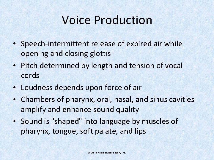 Voice Production • Speech-intermittent release of expired air while opening and closing glottis •