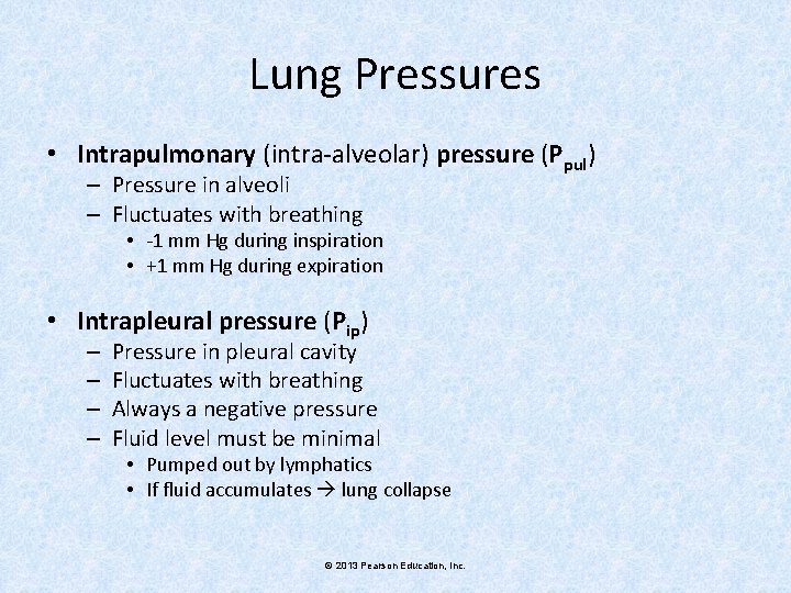 Lung Pressures • Intrapulmonary (intra-alveolar) pressure (Ppul) – Pressure in alveoli – Fluctuates with