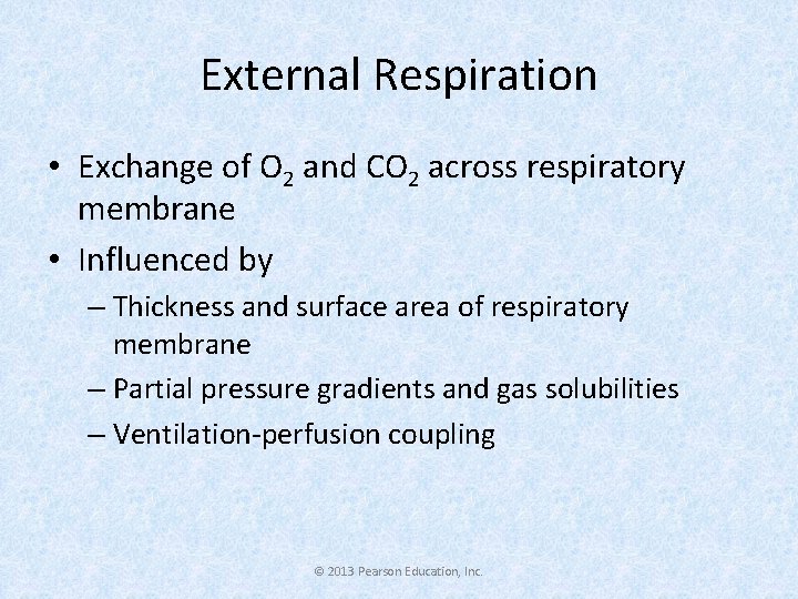 External Respiration • Exchange of O 2 and CO 2 across respiratory membrane •