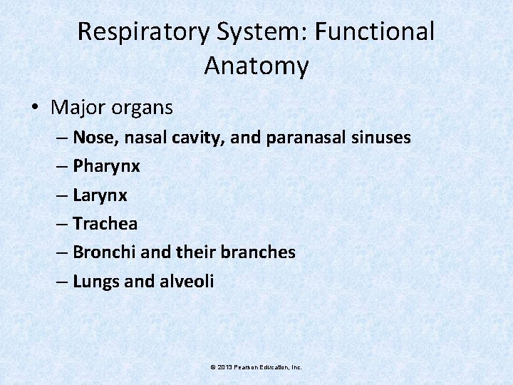 Respiratory System: Functional Anatomy • Major organs – Nose, nasal cavity, and paranasal sinuses