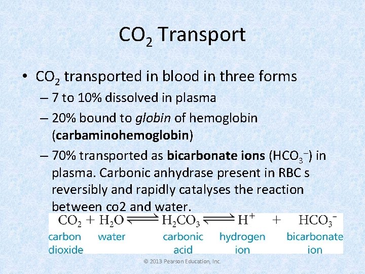 CO 2 Transport • CO 2 transported in blood in three forms – 7