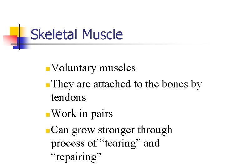 Skeletal Muscle Voluntary muscles n They are attached to the bones by tendons n