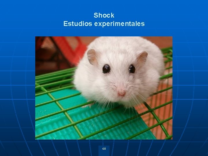 Shock Estudios experimentales 68 