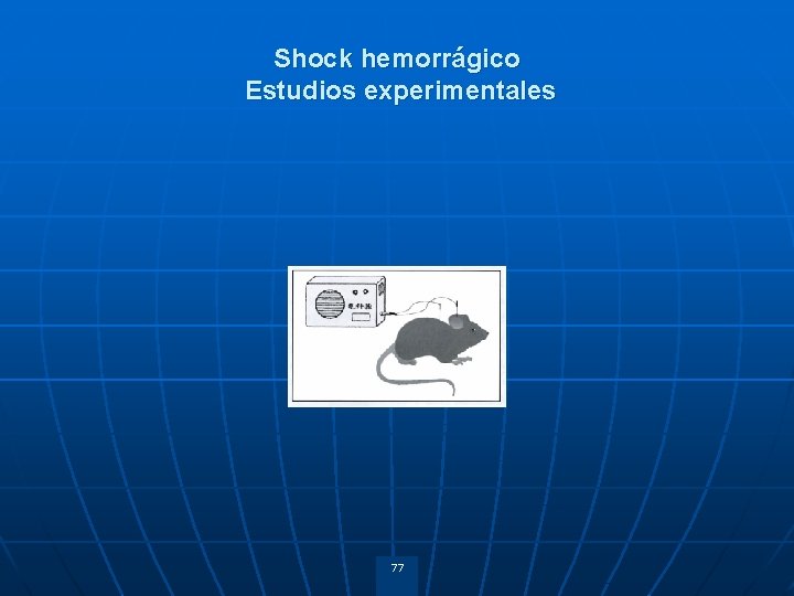 Shock hemorrágico Estudios experimentales 77 