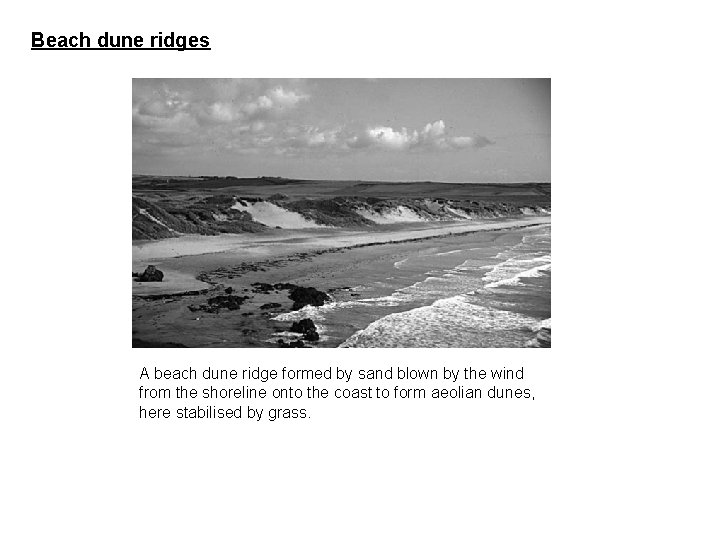 Beach dune ridges A beach dune ridge formed by sand blown by the wind