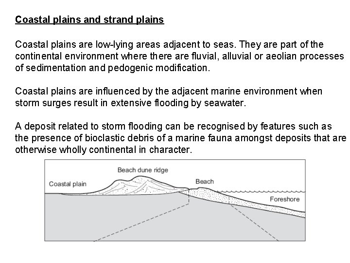 Coastal plains and strand plains Coastal plains are low-lying areas adjacent to seas. They