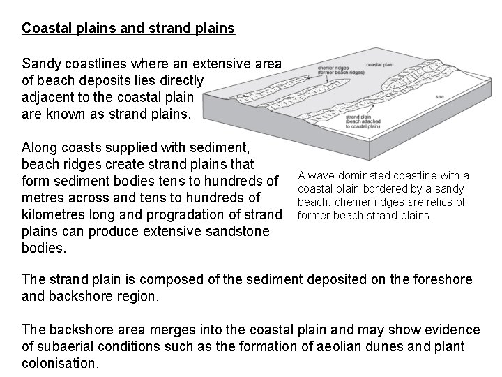 Coastal plains and strand plains Sandy coastlines where an extensive area of beach deposits