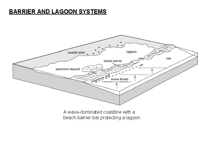 BARRIER AND LAGOON SYSTEMS A wave-dominated coastline with a beach-barrier bar protecting a lagoon.