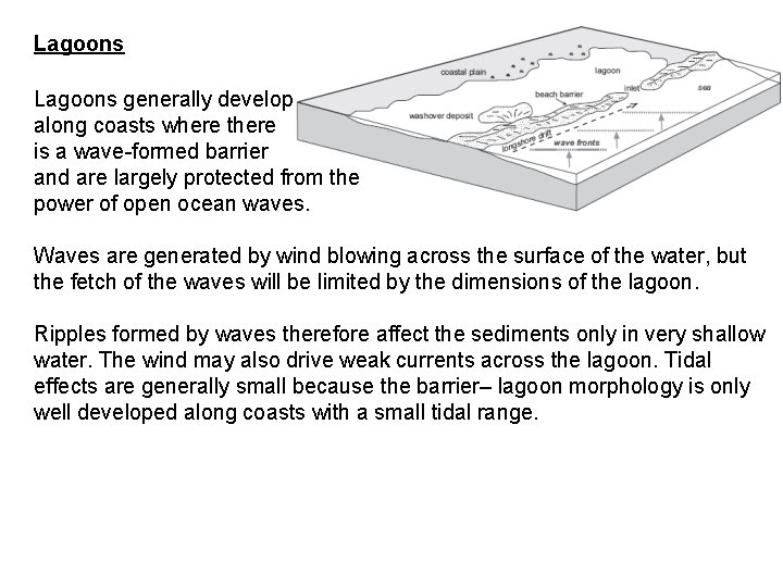 Lagoons generally develop along coasts where there is a wave-formed barrier and are largely