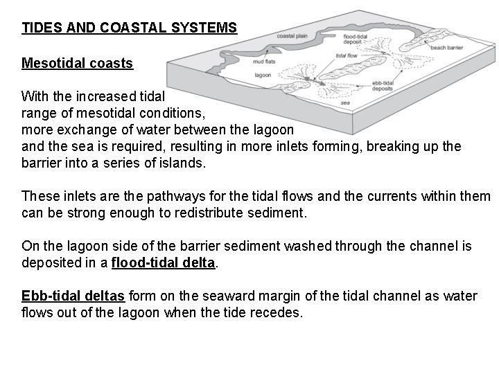 TIDES AND COASTAL SYSTEMS Mesotidal coasts With the increased tidal range of mesotidal conditions,
