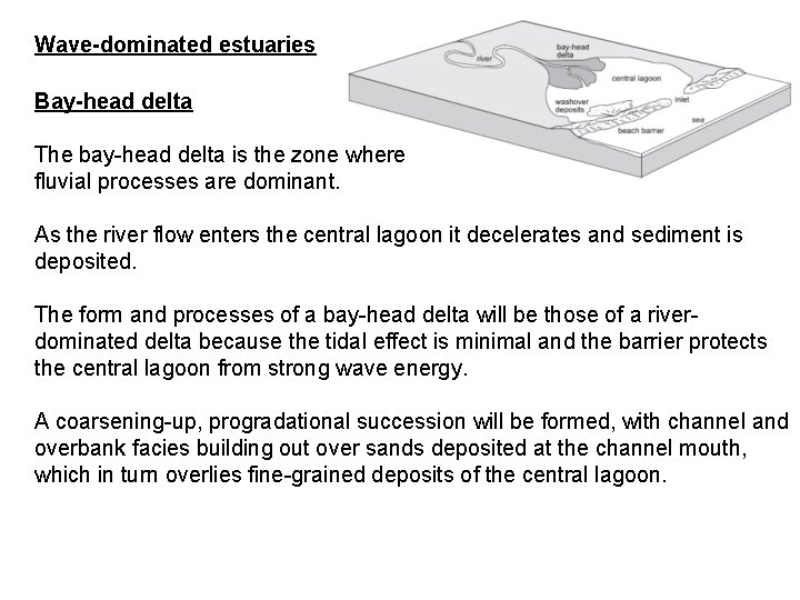 Wave-dominated estuaries Bay-head delta The bay-head delta is the zone where fluvial processes are