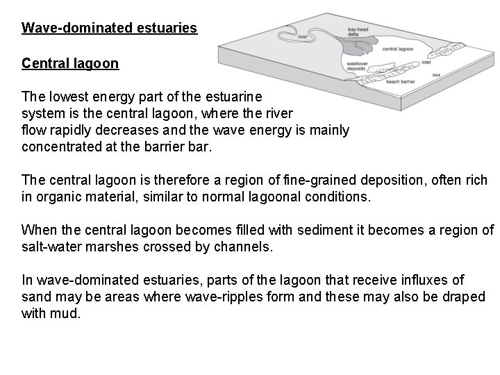 Wave-dominated estuaries Central lagoon The lowest energy part of the estuarine system is the