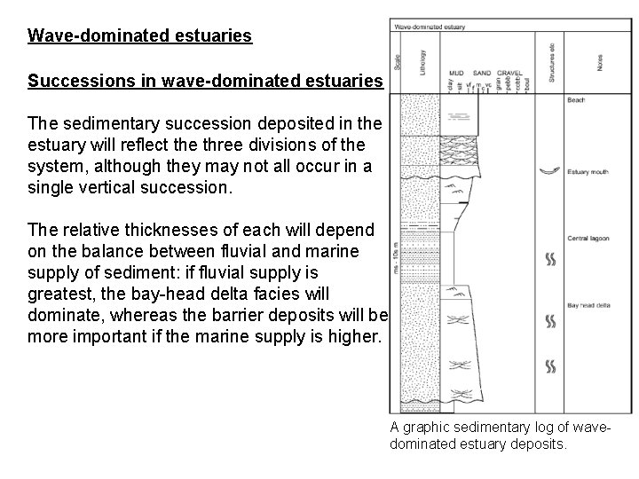 Wave-dominated estuaries Successions in wave-dominated estuaries The sedimentary succession deposited in the estuary will