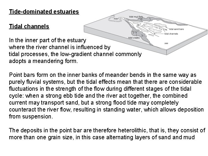 Tide-dominated estuaries Tidal channels In the inner part of the estuary where the river