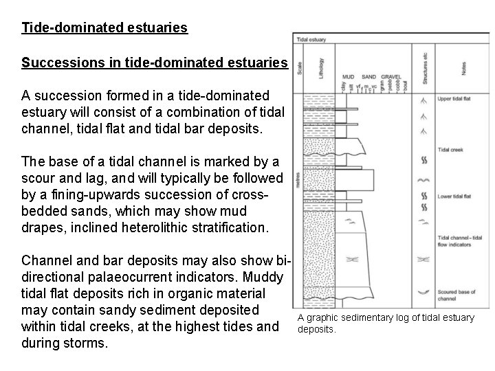 Tide-dominated estuaries Successions in tide-dominated estuaries A succession formed in a tide-dominated estuary will