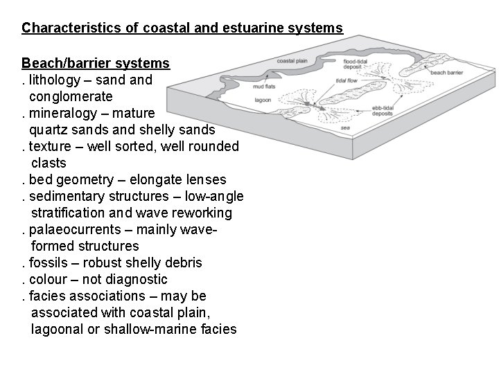 Characteristics of coastal and estuarine systems Beach/barrier systems. lithology – sand conglomerate. mineralogy –