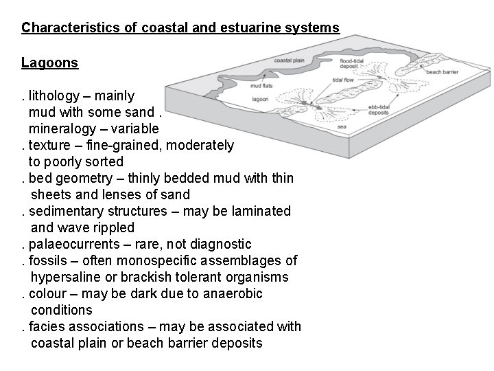 Characteristics of coastal and estuarine systems Lagoons. lithology – mainly mud with some sand.