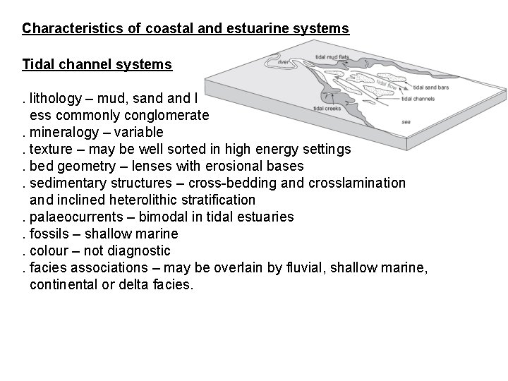 Characteristics of coastal and estuarine systems Tidal channel systems. lithology – mud, sand l