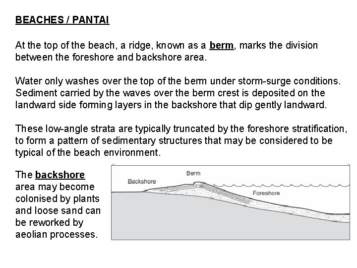 BEACHES / PANTAI At the top of the beach, a ridge, known as a