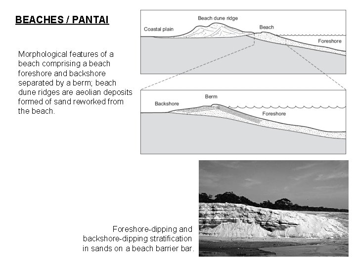 BEACHES / PANTAI Morphological features of a beach comprising a beach foreshore and backshore