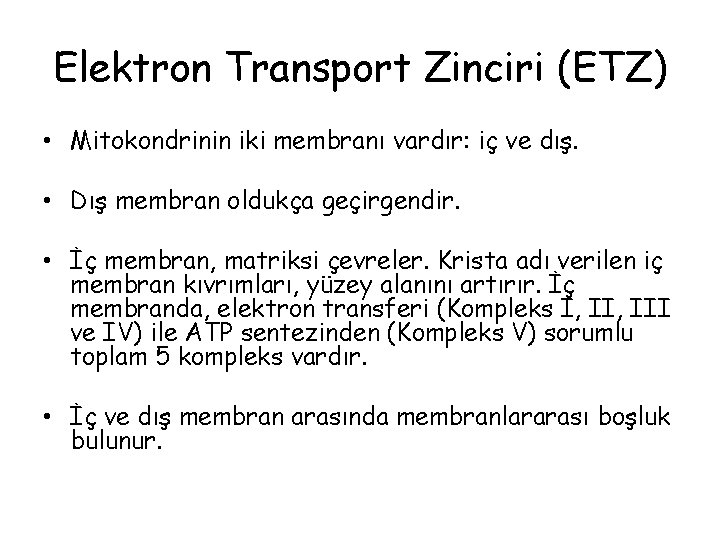 Elektron Transport Zinciri (ETZ) • Mitokondrinin iki membranı vardır: iç ve dış. • Dış