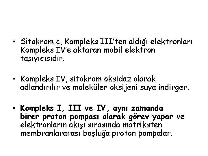  • Sitokrom c, Kompleks III’ten aldığı elektronları Kompleks IV’e aktaran mobil elektron taşıyıcısıdır.