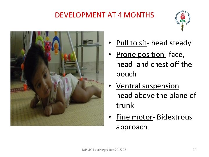 DEVELOPMENT AT 4 MONTHS • Pull to sit- head steady • Prone position -face,