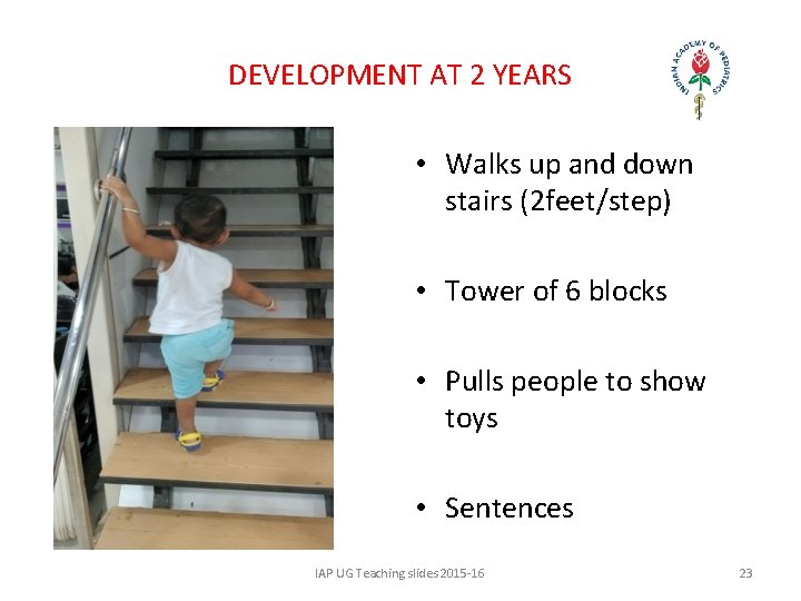 DEVELOPMENT AT 2 YEARS • Walks up and down stairs (2 feet/step) • Tower