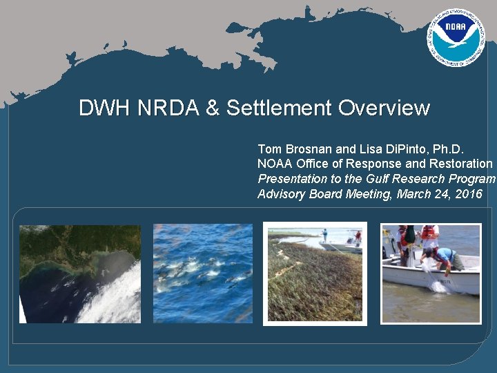 DWH NRDA & Settlement Overview Tom Brosnan and Lisa Di. Pinto, Ph. D. NOAA