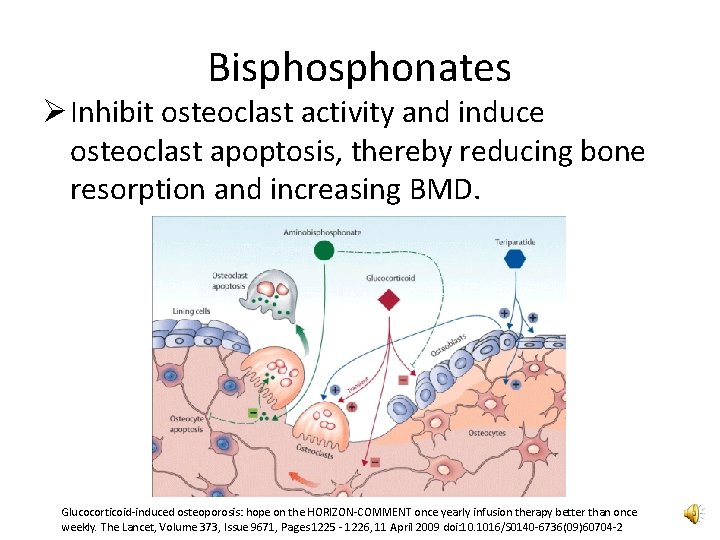 Bisphonates Ø Inhibit osteoclast activity and induce osteoclast apoptosis, thereby reducing bone resorption and