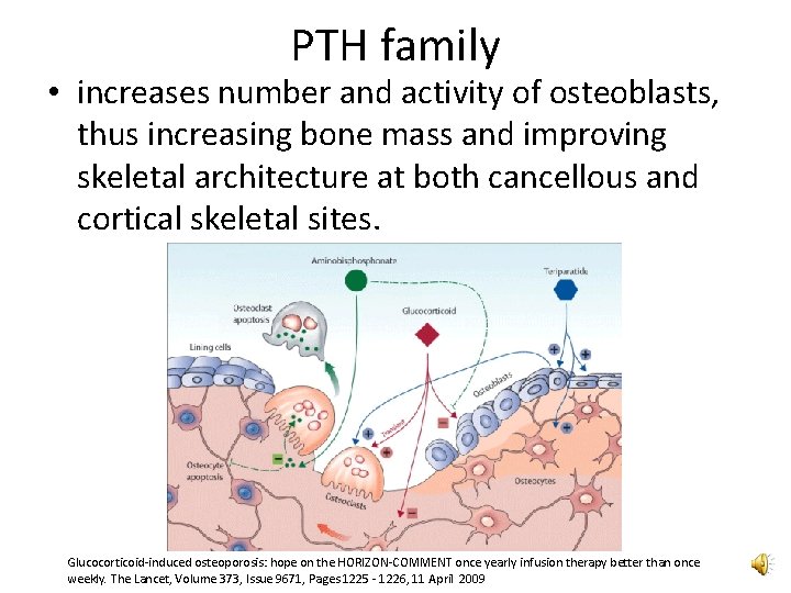 PTH family • increases number and activity of osteoblasts, thus increasing bone mass and