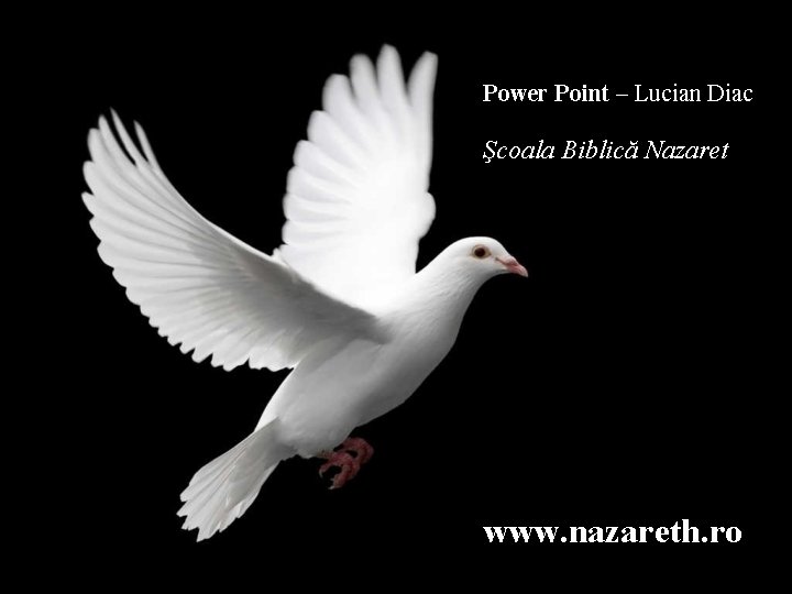 Power Point – Lucian Diac Şcoala Biblică Nazaret www. nazareth. ro 