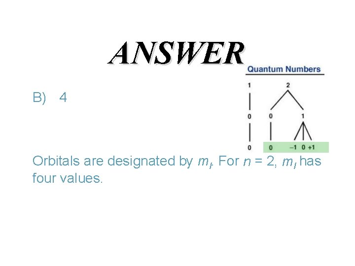 ANSWER B) 4 Orbitals are designated by ml. For n = 2, ml has ANSWER B) 4 Orbitals are designated by ml. For n = 2, ml has