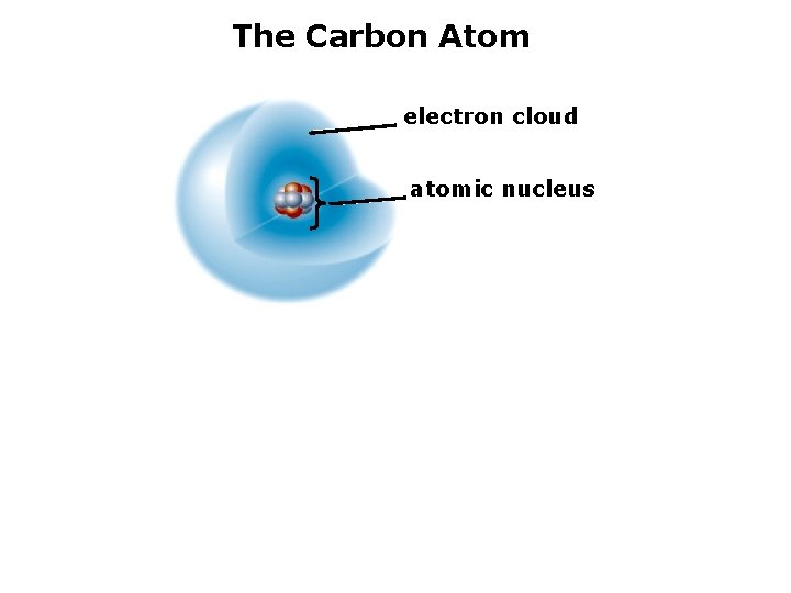 The Carbon Atom electron cloud atomic nucleus 