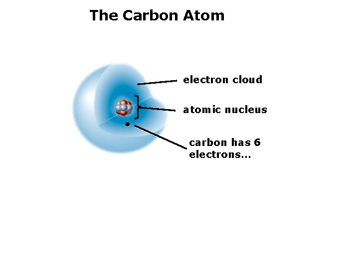 The Carbon Atom electron cloud atomic nucleus carbon has 6 electrons… 