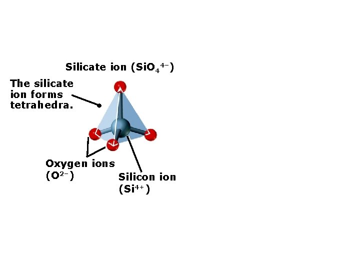 Silicate ion (Si. O 44–) The silicate ion forms tetrahedra. Oxygen ions (O 2–)