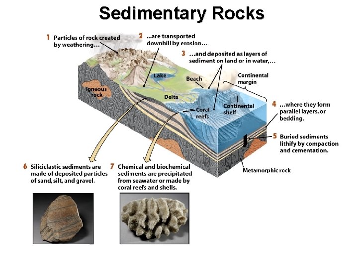 Sedimentary Rocks 